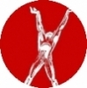 Logo Michael Tschechow Studio Berlin Schauspielschule S