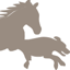 Logo Tierphysio-Aktiv Dr.