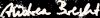 Logo Tanzschule Andrea Brecht