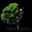 Logo Der Gartenwulf