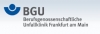 Logo BGU Frankfurt