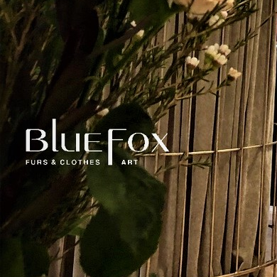 Logo Blue Fox Boutique