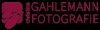 Logo Fotografie