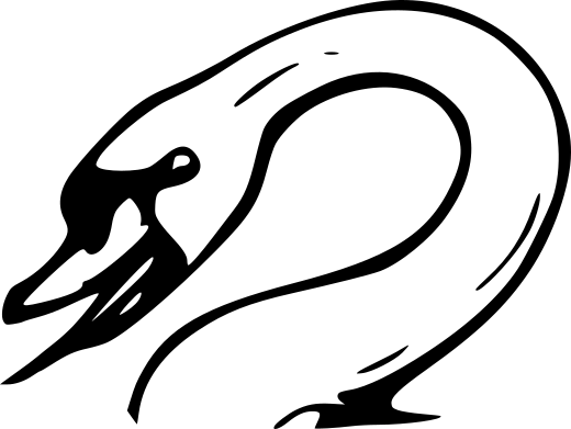 Logo damdi.xyz