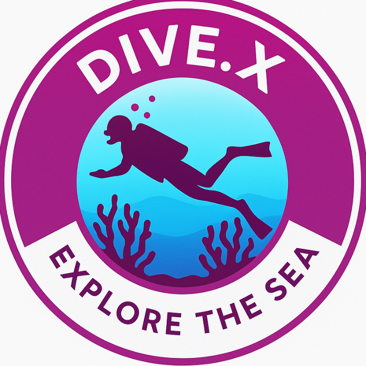 Logo Dive X Egypt