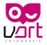 Logo Photographie  Linzenkirchner