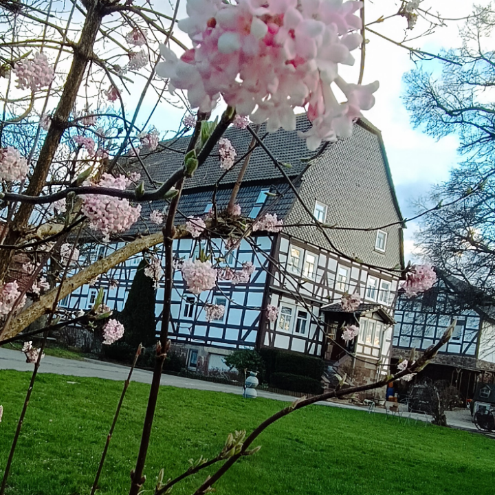 Logo Ferienhof Papiermühle