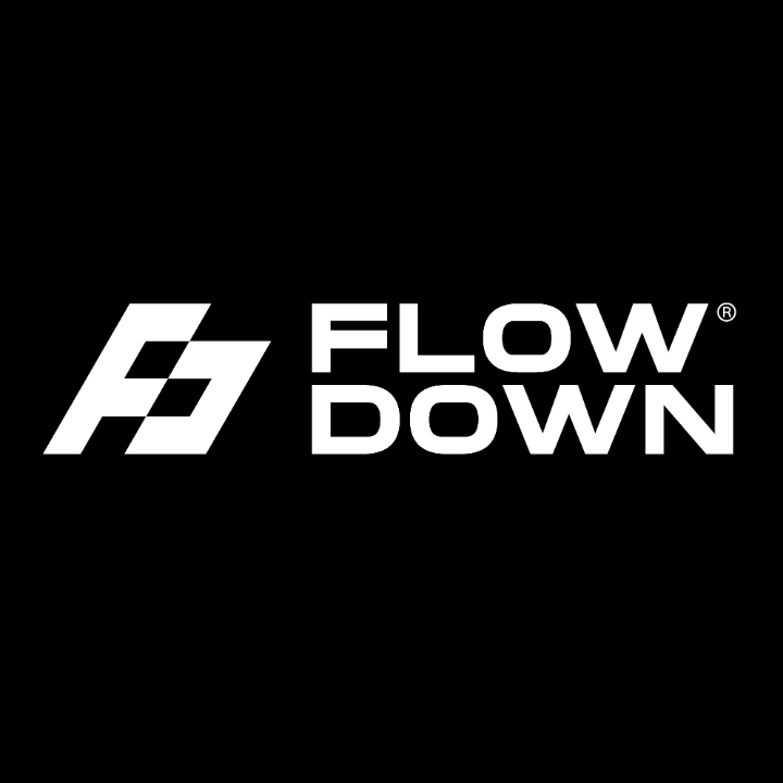 Logo FLOW DOWN