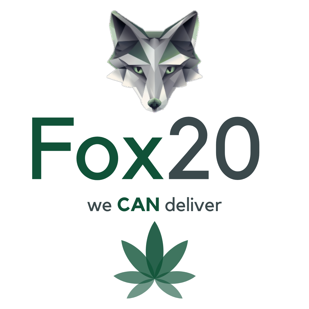 Logo Fox20