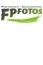 Logo Frank Panzer