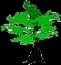 Logo HÖGG Garten- und Landschaftsbau