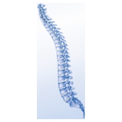 Logo HSC Treske GmbH Krankengymnastik