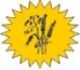 Logo Bioladen Marita Doerr
