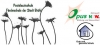 Logo Sonstige Schule, Pestalozzischule