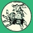 Logo Einführung