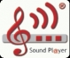 Logo Sound Pl@yer: www.soundplayer.info