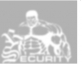 Logo S.R. Security