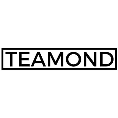 Logo TEAMOND