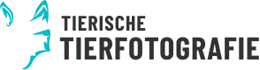 Logo tierische tierfotografie