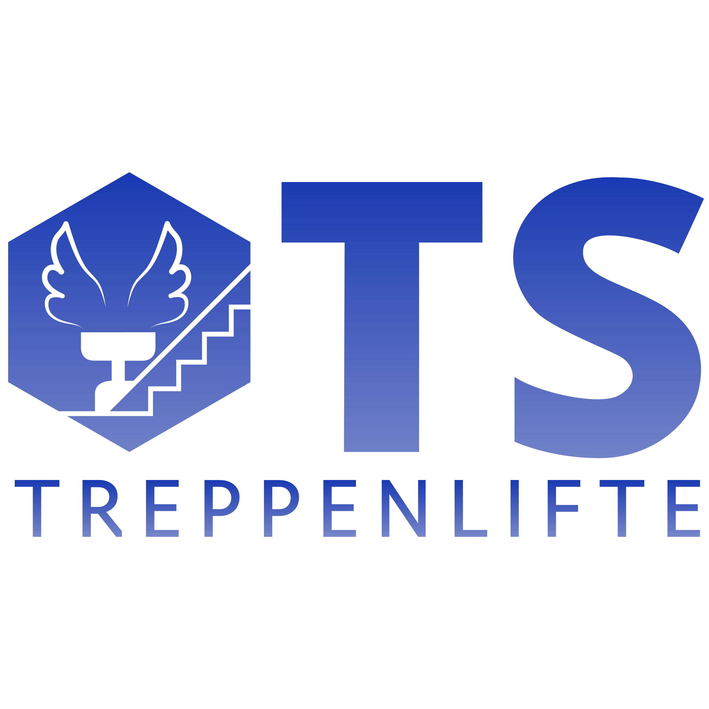 Logo TS Treppenlifte Augsburg - Treppenlift | Plattformlift