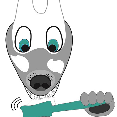 Logo Verband der Tierdentalhygieniker e.V.