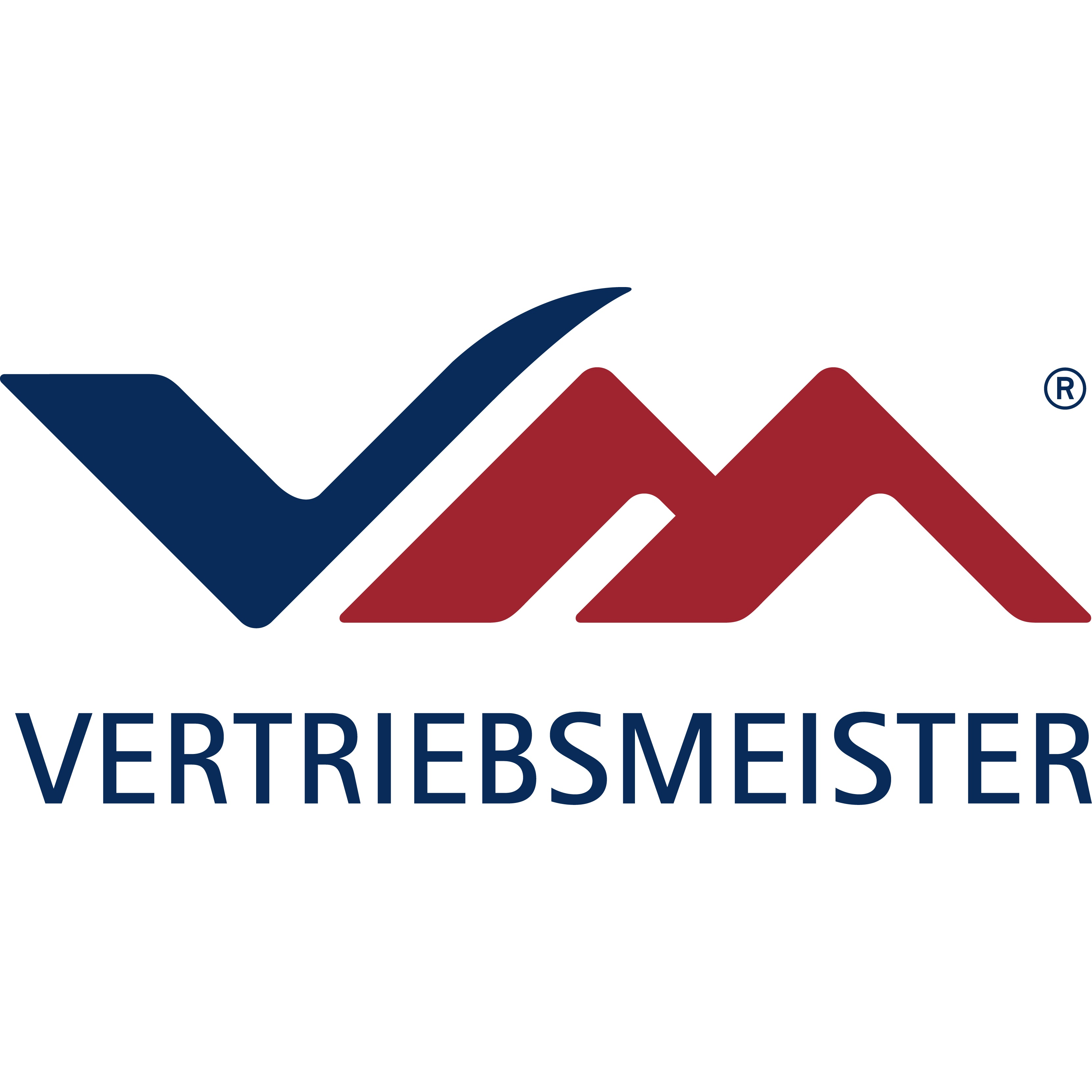 Logo VERTRIEBSMEISTER Training/Coaching/Beratung