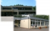 Logo Waldschule Schule für Geistigbehinderte