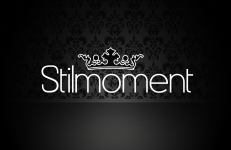 Logo Willkommen bei Stilmoment - Ihrem Fotostudio in Er