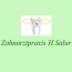 Logo Zahnarztpraxis Hürriyet Salur