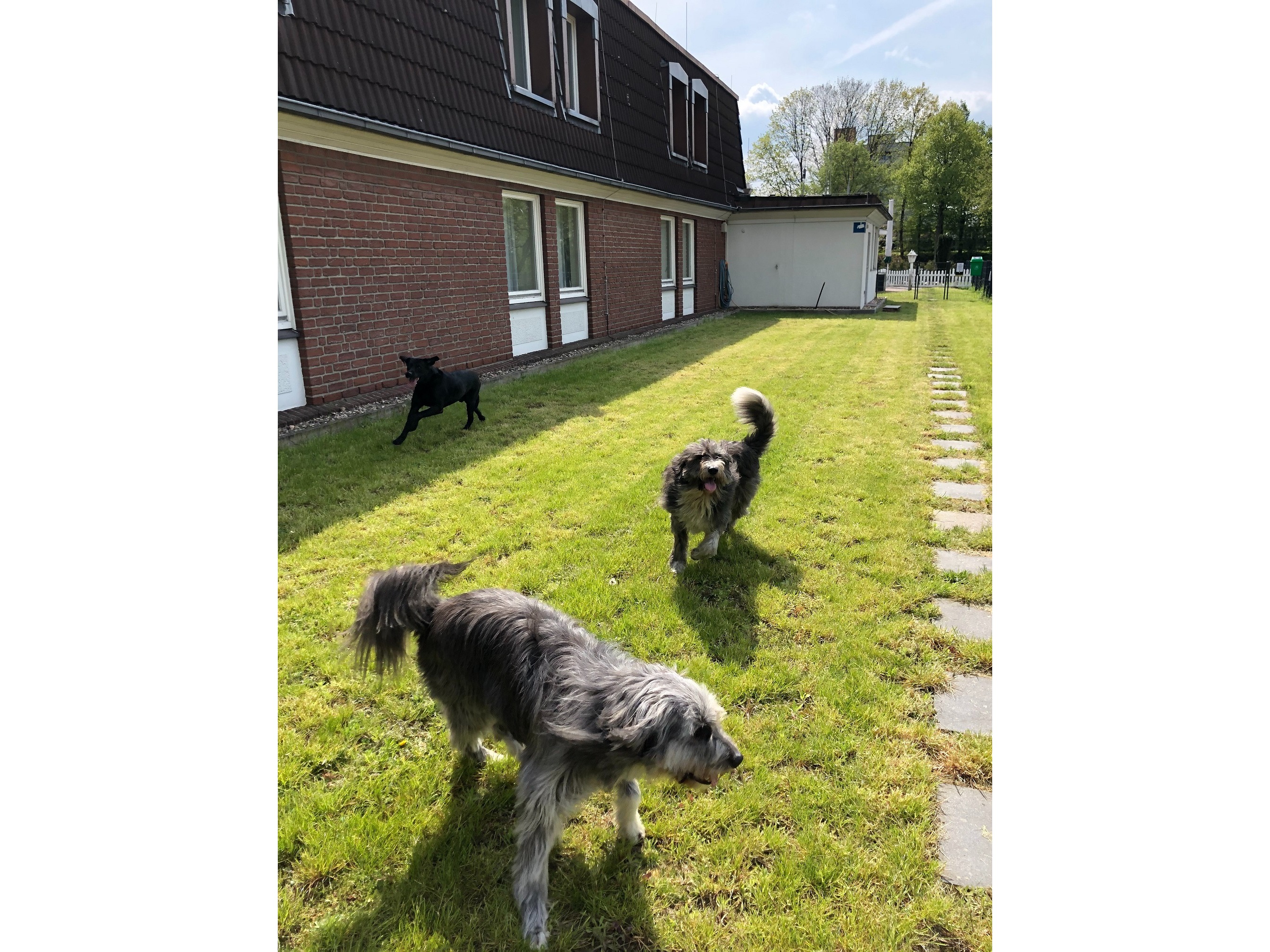 AKZENT Hotel am Schlosspark Herten