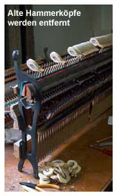 Alexander Ostrovski - Klavierstimmer / Techniker