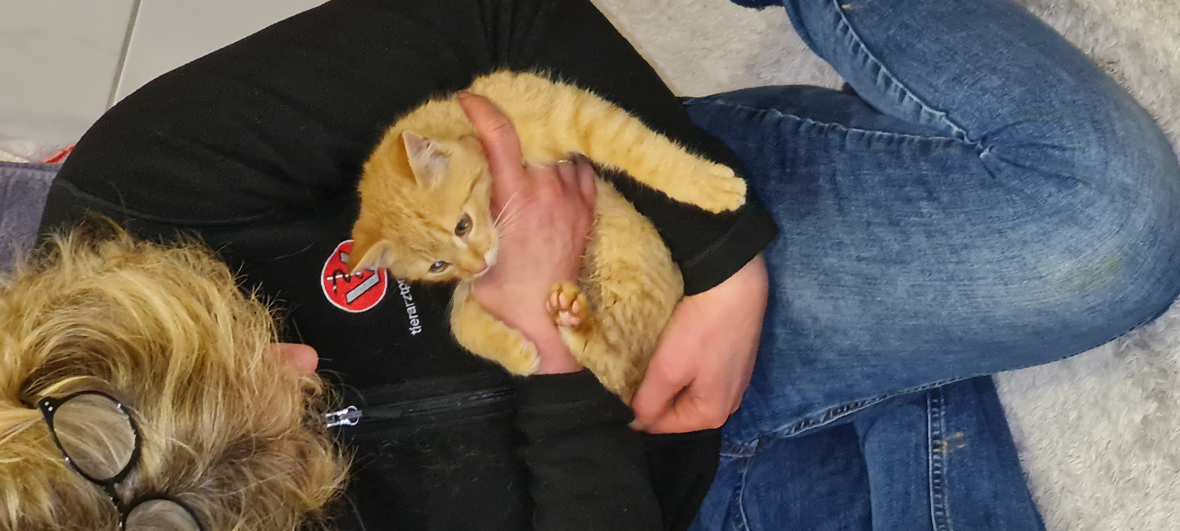 Barbara Dietz Tierärztin