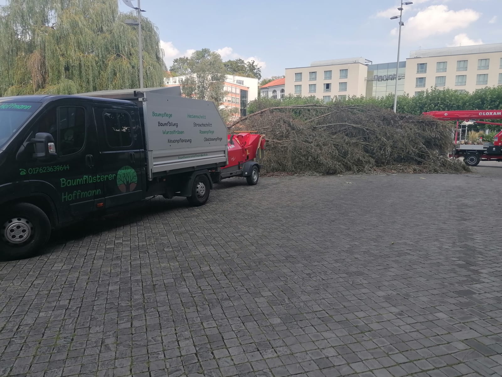 Baumflüsterer Hoffmann