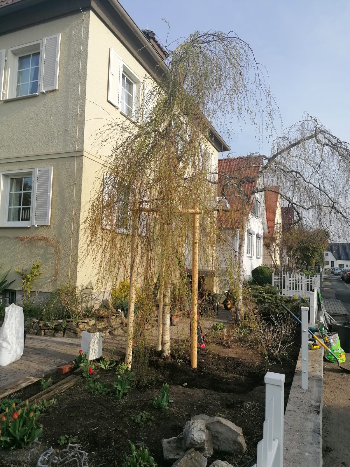 Baumflüsterer Hoffmann