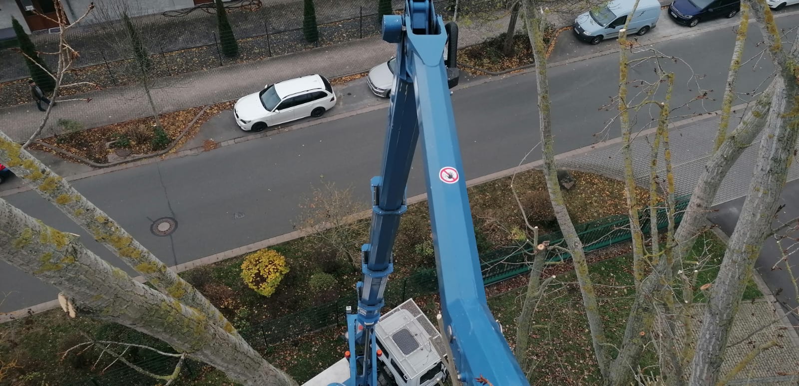 Baumflüsterer Hoffmann