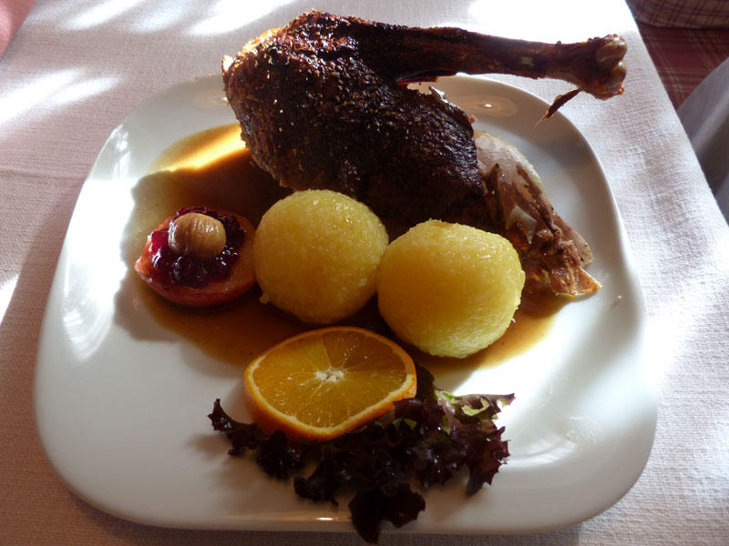 Berggasthof Pflegersee