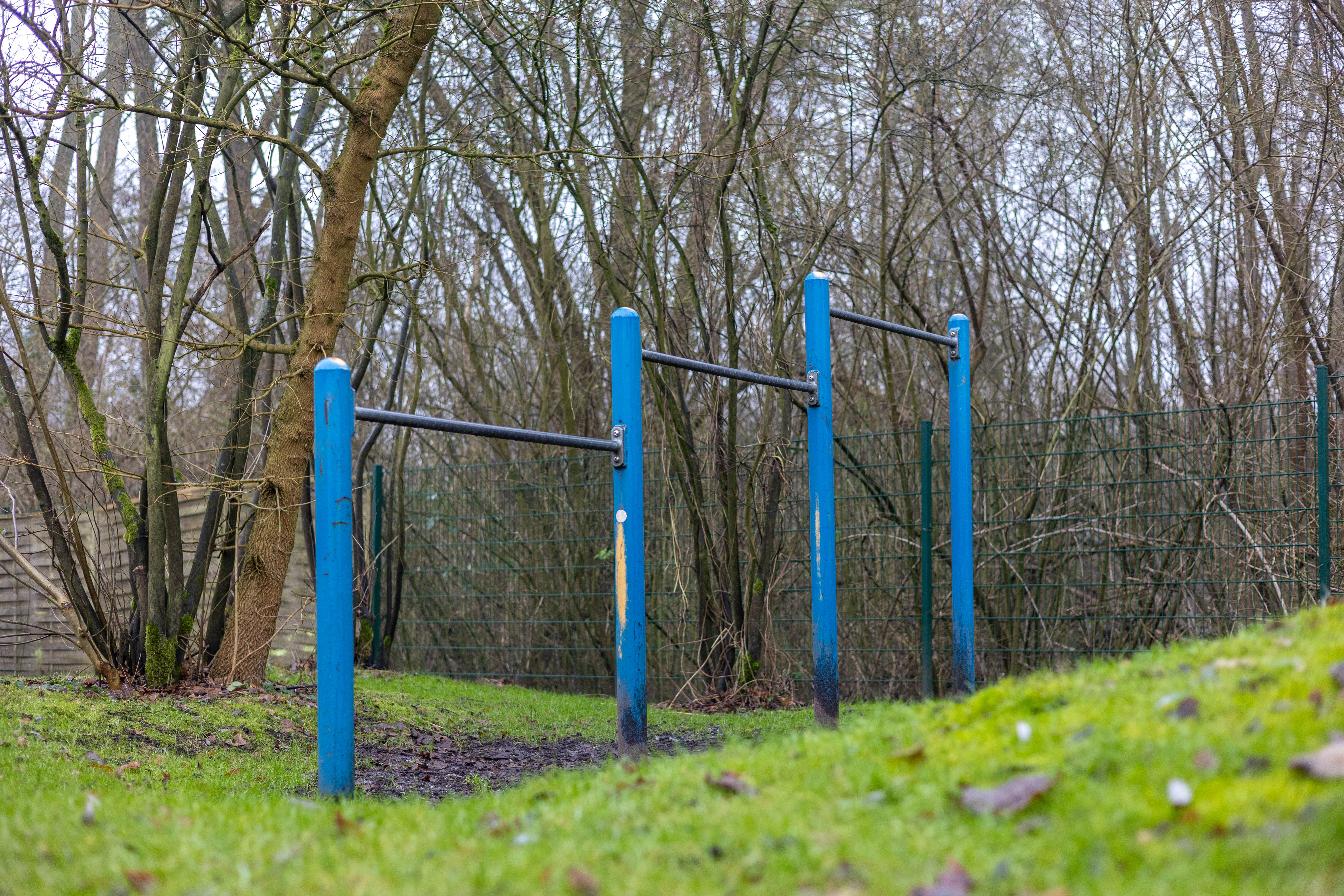 Bewegungs-Kindergarten Sonnenblume e. V. Kindergarten