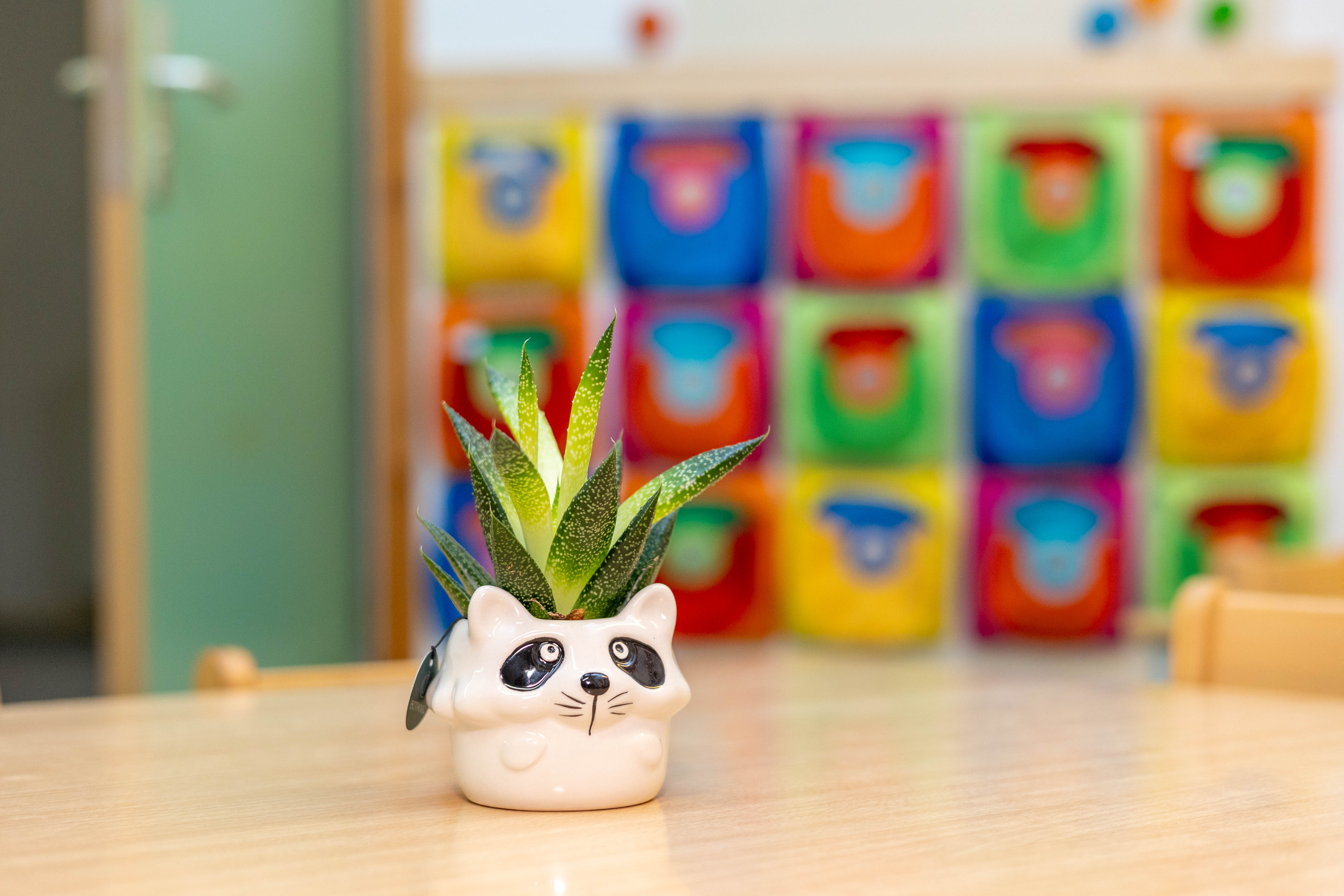 Bewegungs-Kindergarten Sonnenblume e. V. Kindergarten