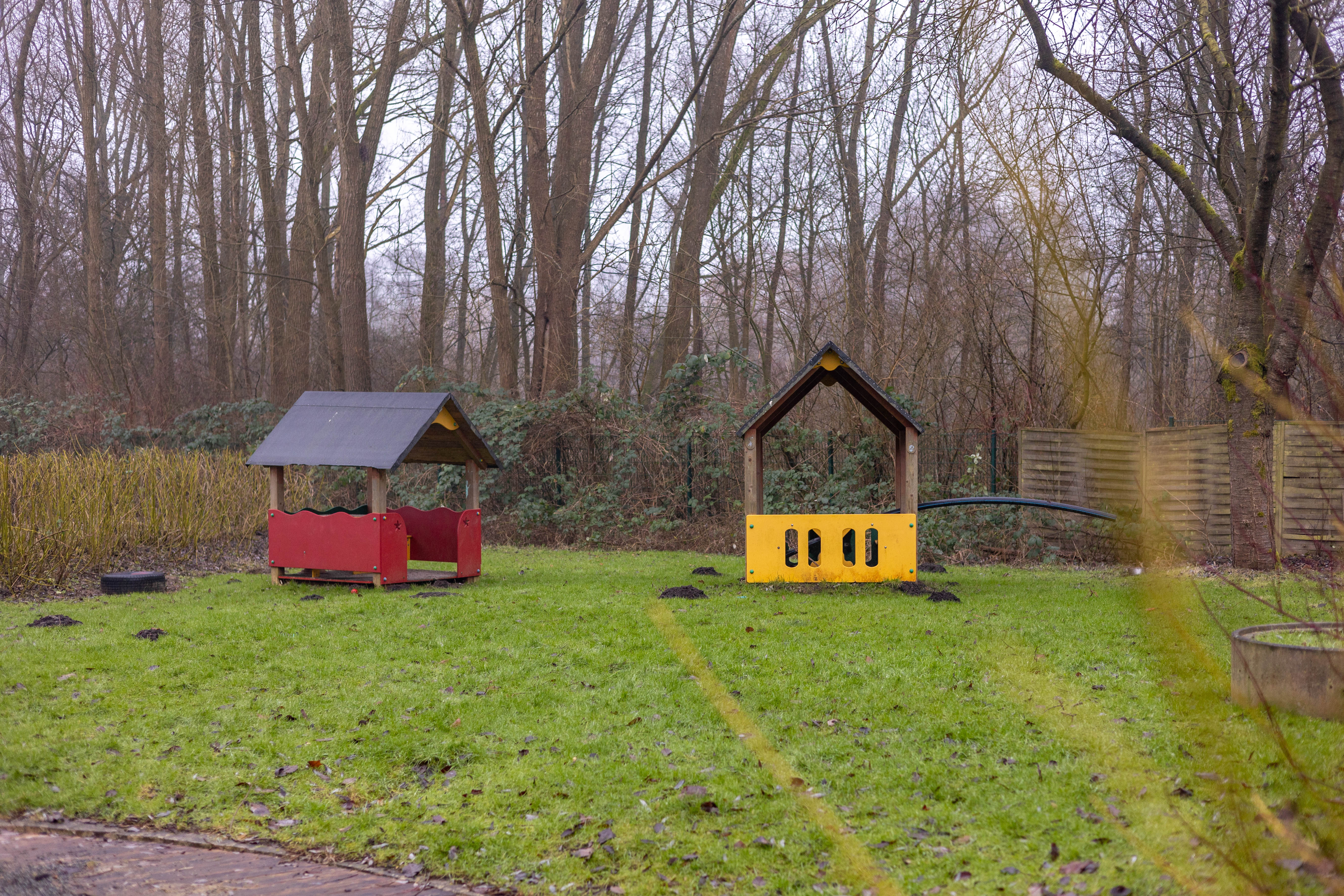 Bewegungs-Kindergarten Sonnenblume e. V. Kindergarten