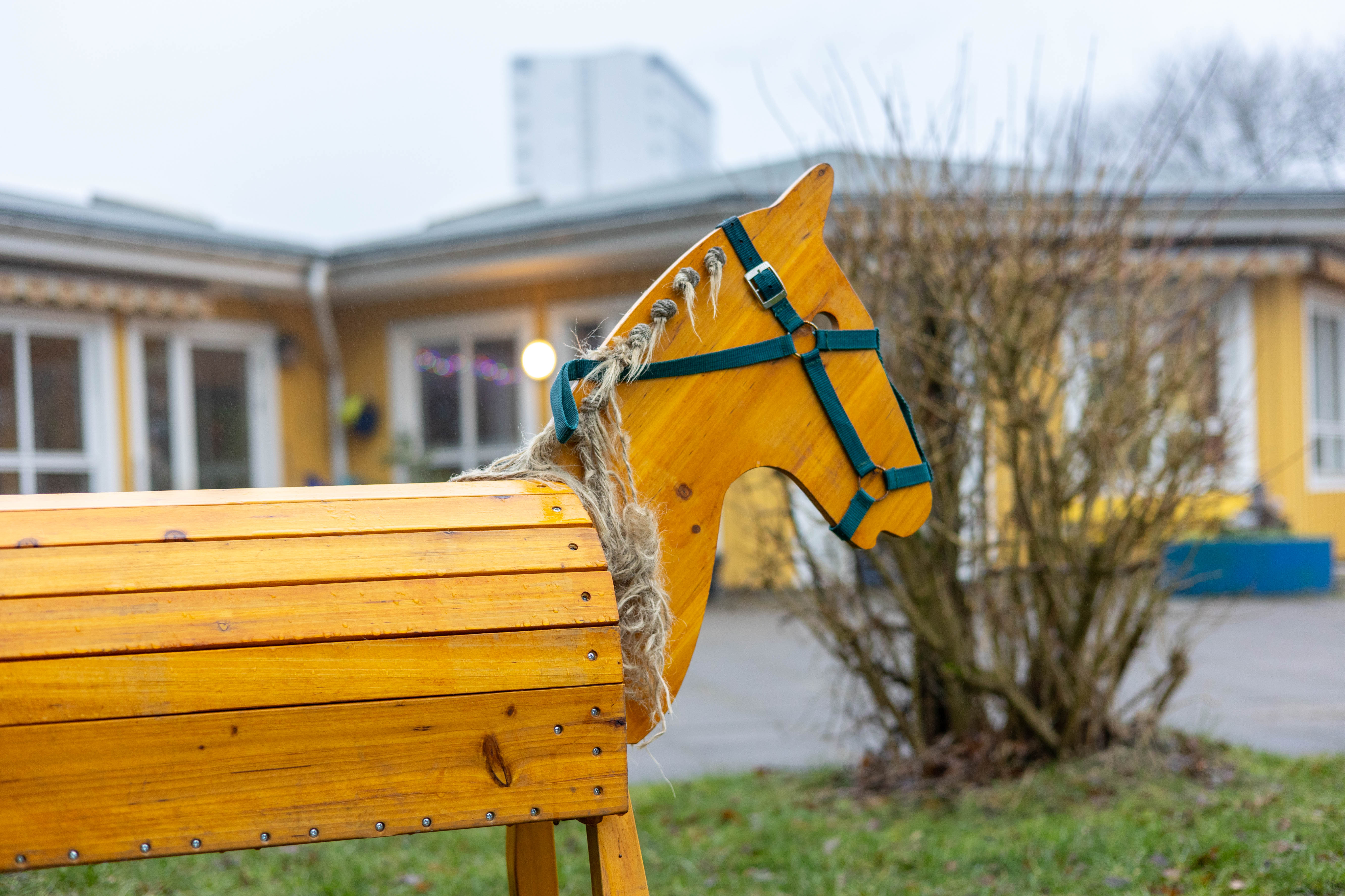 Bewegungs-Kindergarten Sonnenblume e. V. Kindergarten