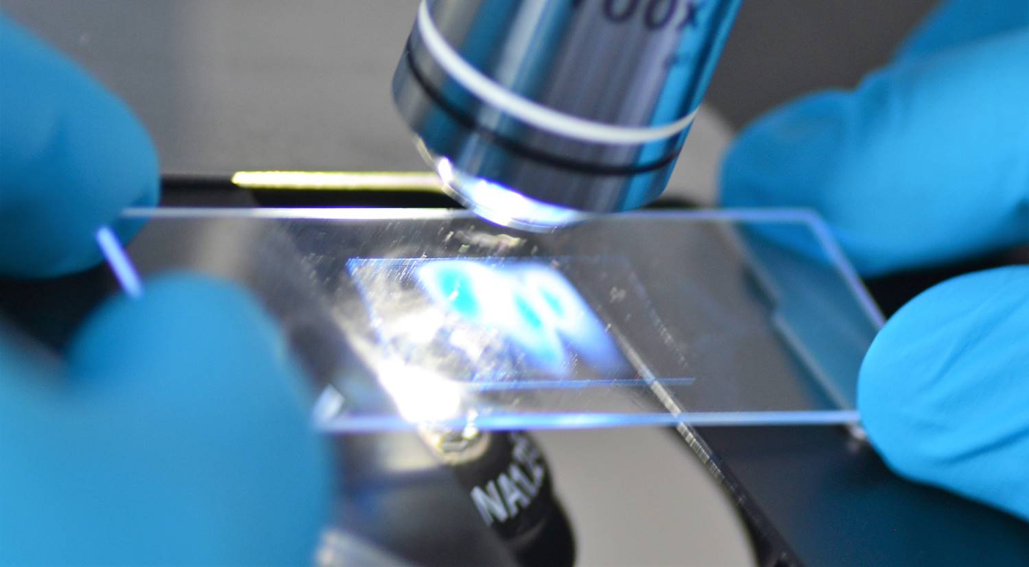 Biolytics Labor für biologische Analysen