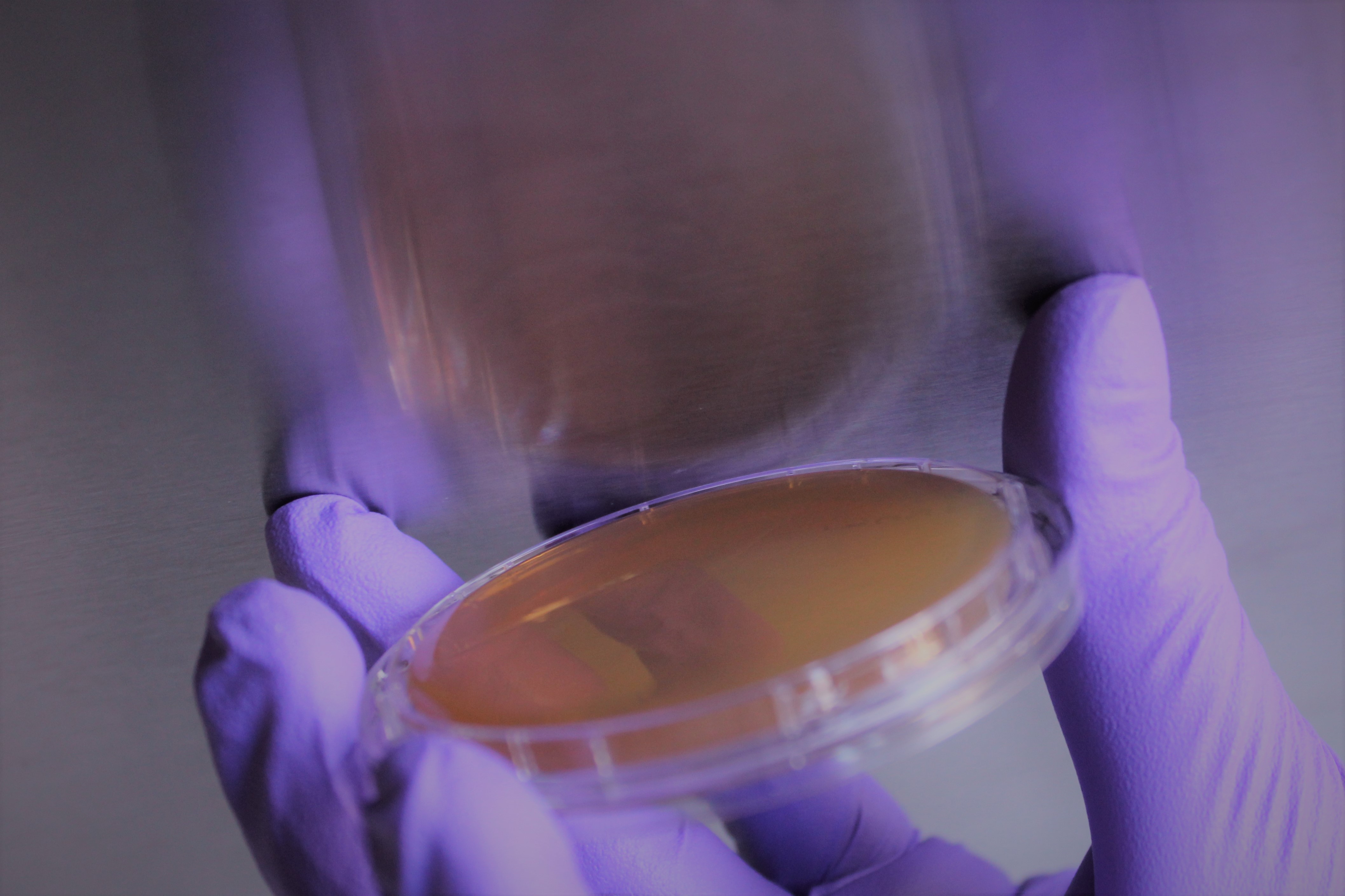Biolytics Labor für biologische Analysen