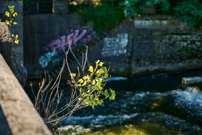 BLM Büroservice GmbH - Business Location Munich