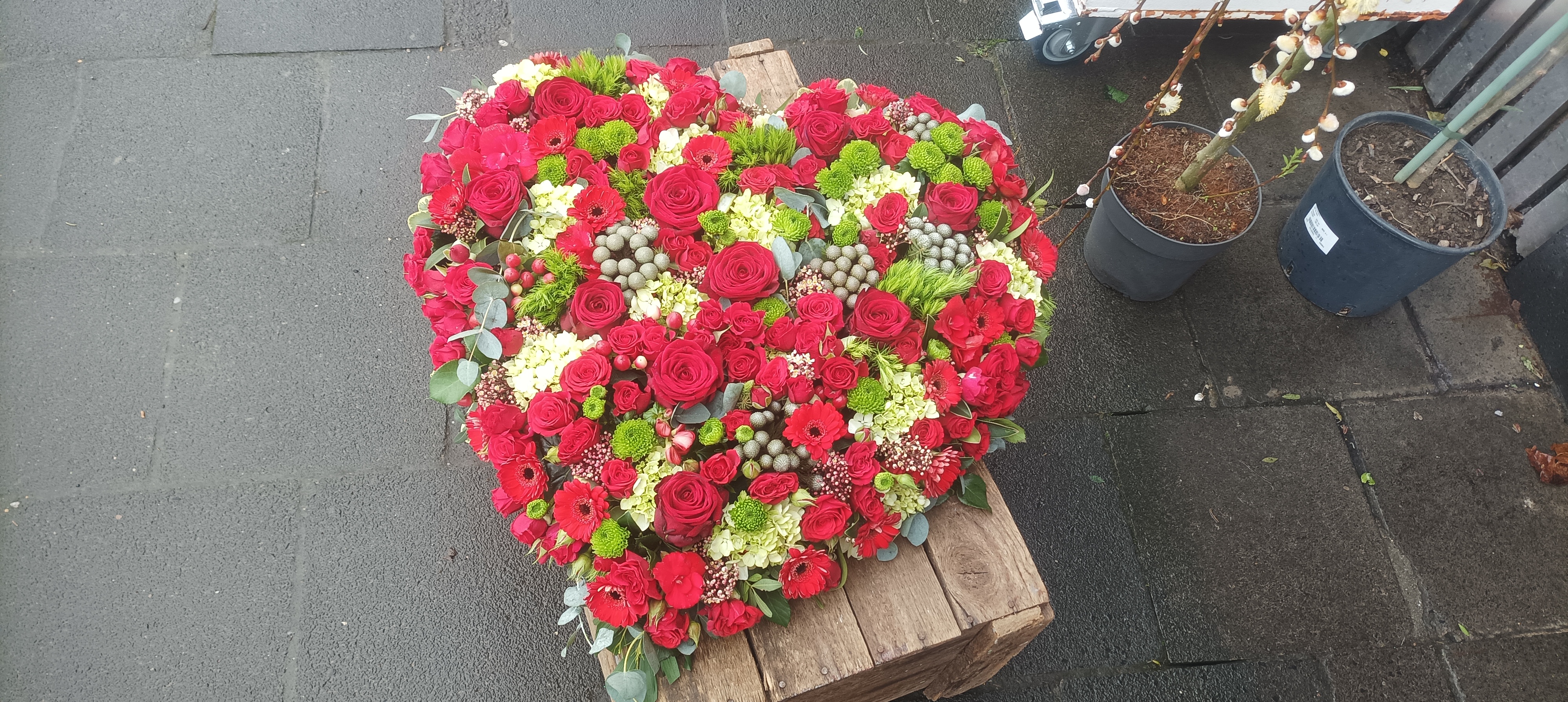 Blumen Polcher