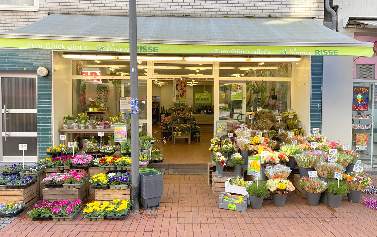Blumen Risse Blumenladen Essen-Steele