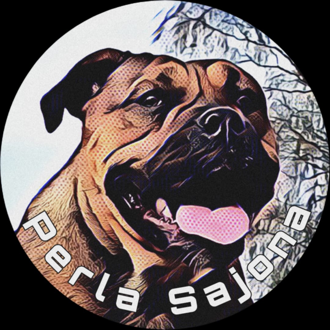 Ca de Bou Zucht  Perla Sajona