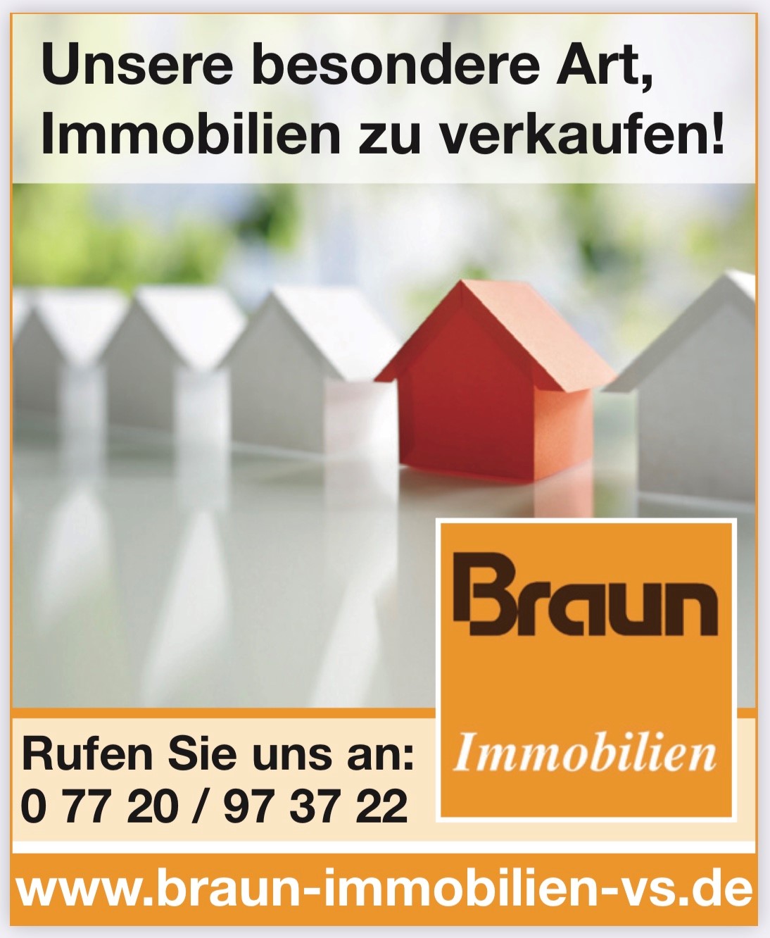 Braun Immobilien