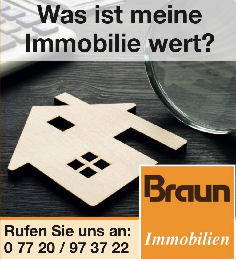 Braun Immobilien