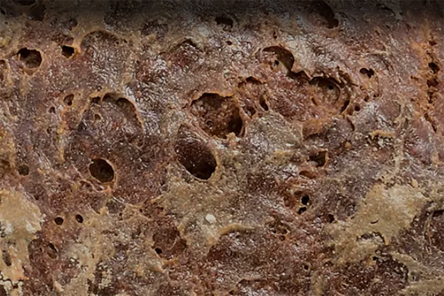 Buchauer Holzofenbäckerei GmbH