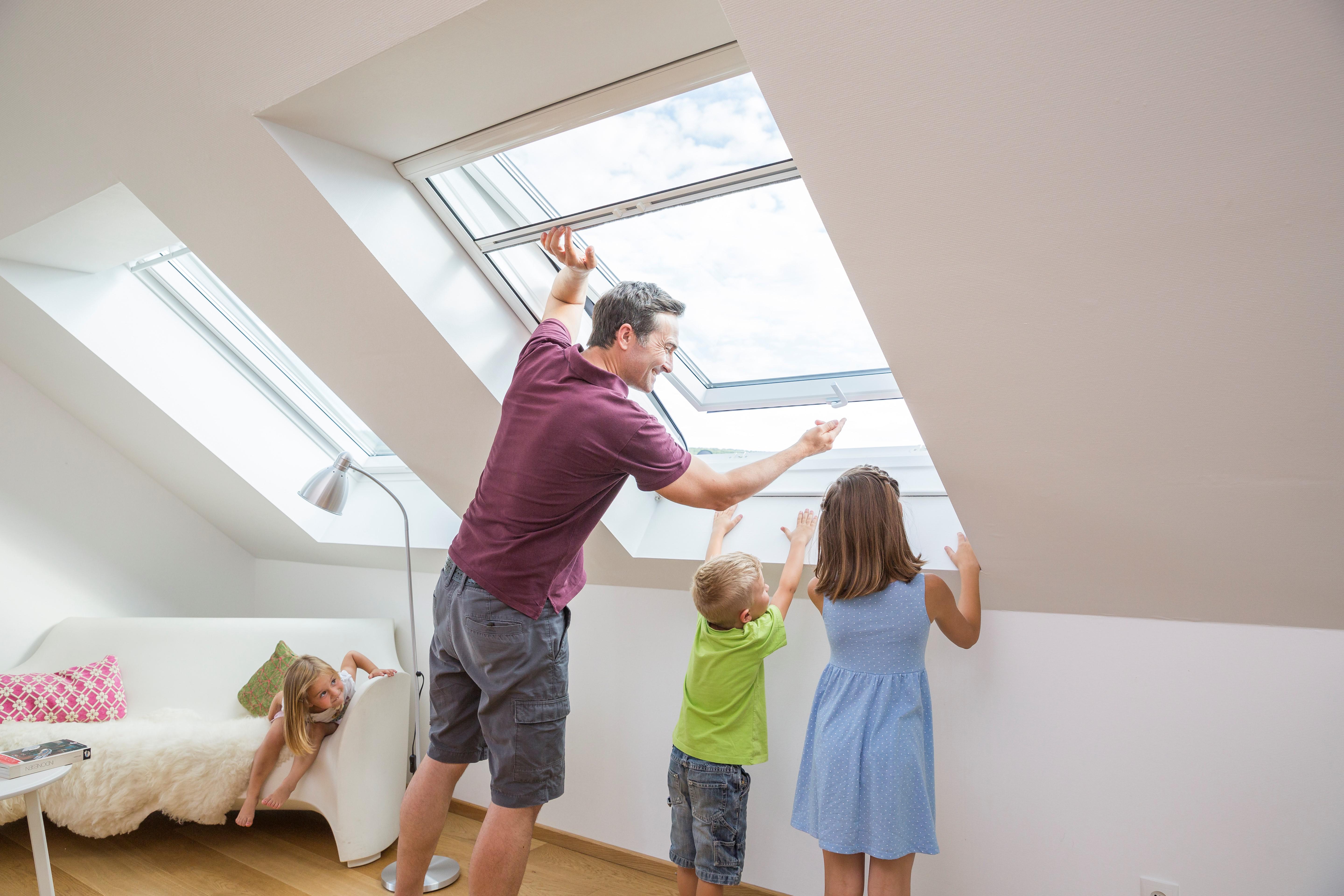 Coenen GmbH Insektenschutz